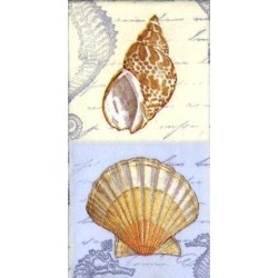 Paquete Pa?uelos Peque?os 21 cm Sounds of The Sea