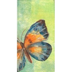 Paquete Pa?uelos Peque?os 21 cm Papillon