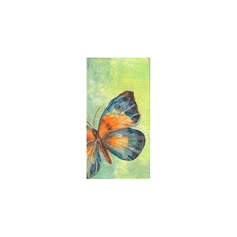 Paquete Pa?uelos Peque?os 21 cm Papillon