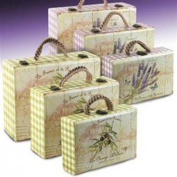 Cajas x6 Multiusos 2 Colores Maletin