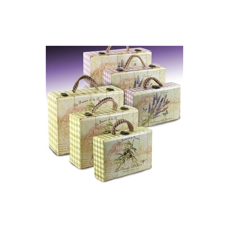 Cajas x6 Multiusos 2 Colores Maletin