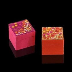 Caja x2 Multiusos Cuadradas Rojas 5 cm