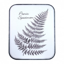 Placa Pared Decorativa Floral 52 cm