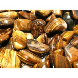 Rodado ojo de Tigre (5x3cm aprox) pack 250gr