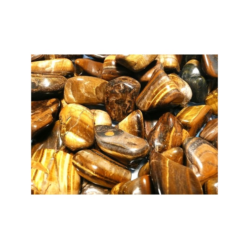 Rodado ojo de Tigre (5x3cm aprox) pack 250gr