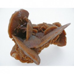 Rosa del desierto (pack 500 gr)
