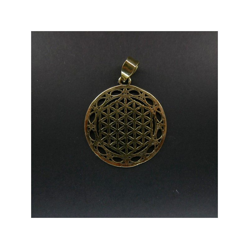 Colgante de Bronce Flor Vida Doble Circulo -97-