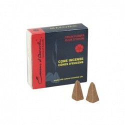 Caja con Mini Conos de Incienso 7 cm