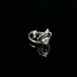 Anillo con Baño de Plata A29