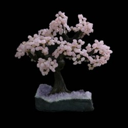 Bonsai de Cuarzo Rosa con Base de Drusa Amatista (AR9)