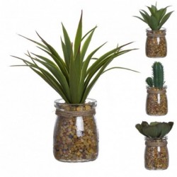 Cactus en Maceta de Cristal x4 Modelos 16 cm