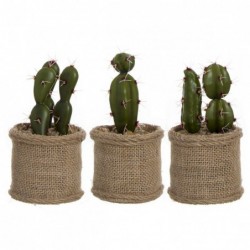 Cactus en Maceta de Yute x3 Modelos 15 cm