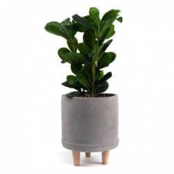 Planta Artificial Interior con Maceta Cemento Decoración Elegante Gris 36 cm