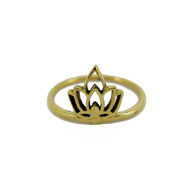 Anillo de Bronce -40-