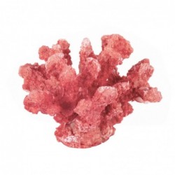 Figura decorativa CORAL