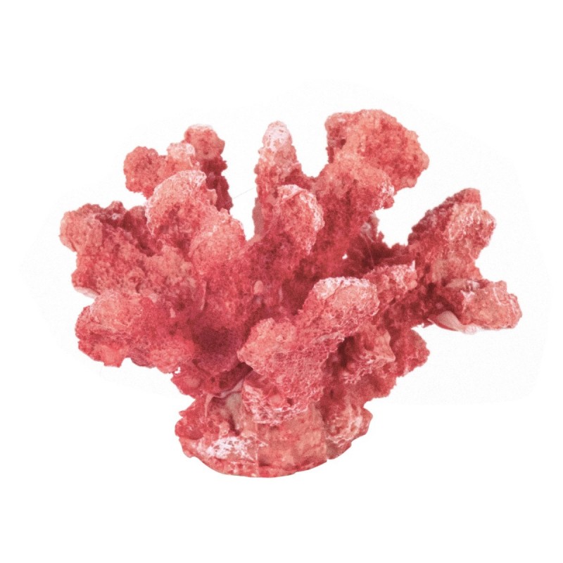 Figura decorativa CORAL