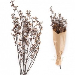 Bouquet / ramo de flores secas ETERNAL MILLET