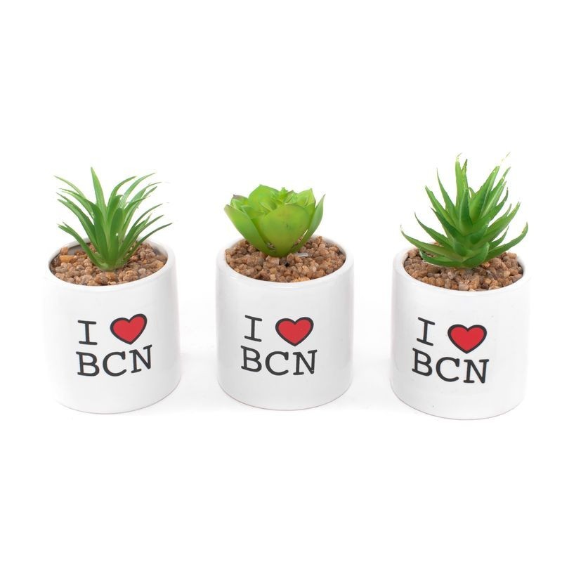 Cactus en maceta I LOVE BCN x3 modelos
