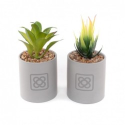 Cactus en maceta PANOT x2 modelos