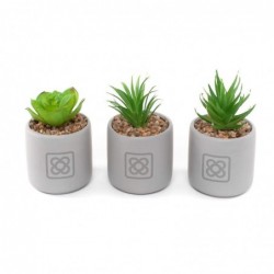 Cactus en maceta PANOT x3 modelos