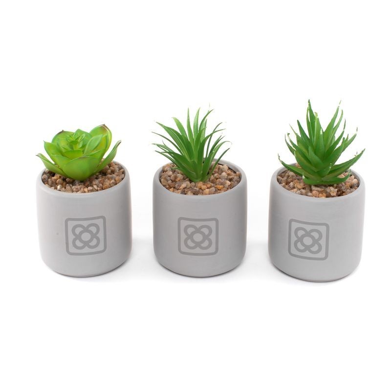 Cactus en maceta PANOT x3 modelos