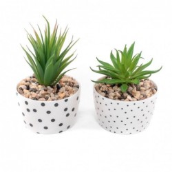 Cactus en maceta TOPOS x2 modelos