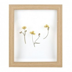 Cuadro decorativo 24x29 ROSEMARY