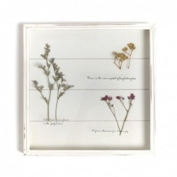 Cuadro decorativo 30x30 ROSEMARY