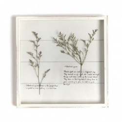 Cuadro decorativo 30x30 ROSEMARY