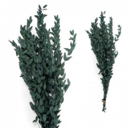 Ramo Ramillete Hojas Eucalipto Verde Planta Seca Decorativa Decoración Interior 60-65 cm