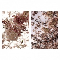 Set Cuadro Decorativo x2 Lienzo Fotografía Flores Cerezo Japonés Sakura Elegante Decoración Pared 50x70 cm
