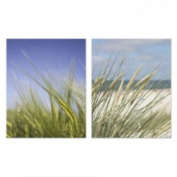 Set Cuadro Decorativo x2 Lienzo Fotografía Naturaleza Playa Trigo Elegante Decoración Pared 40x50 cm