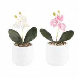 Set Maceta Planta Artificial x2 Orquídea Rosa y Blanca Flores Plástico Decoración Interior Exterior 21 cm