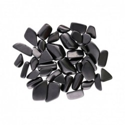 Rodados de Shungit 5x3cm (Pack 250g)