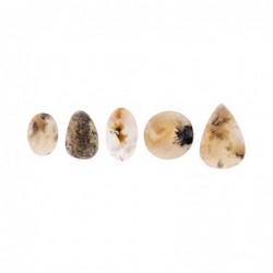 Cabujón de Ágata Tigre Dendrítica (Pack 30gr) - Piedras Naturales para Joyería