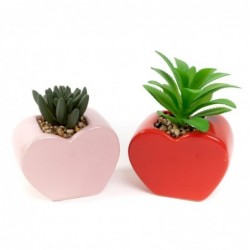 Maceta Cactus Corazón x2...