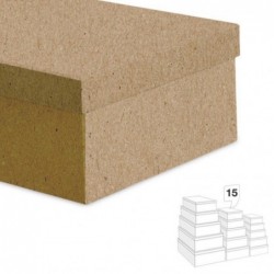Juego de 15 Cajas Carton...