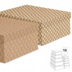 Juego de 15 Cajas Caron...