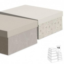 Juego 15 Cajas Carton Hojas...