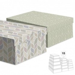 Juego 15 Cajas Carton Hojas...