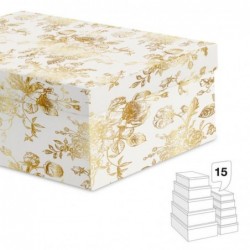 Juego 15 Cajas Cartón...