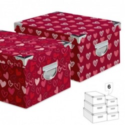 Juego de 6 Cajas carton x2...