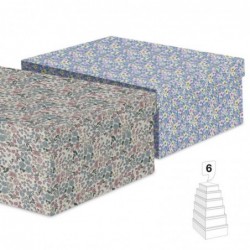 Juego 6 Cajas Carton x2...
