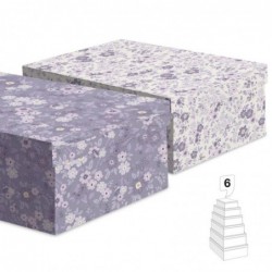 Juego 6 Cajas Carton x2...