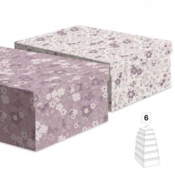 Juego 6 Cajas Carton x2...