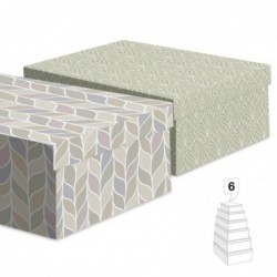 Juego 6 Cajas Carton x2...