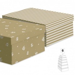 Juego 6 Cajas Carton x2...