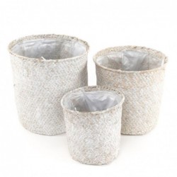 Set de 3 Maceta de Mimbre...
