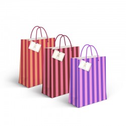 Bolsa Papel Rayas Bicolor...