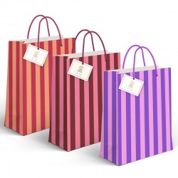 Bolsa Papel XL Rayas...